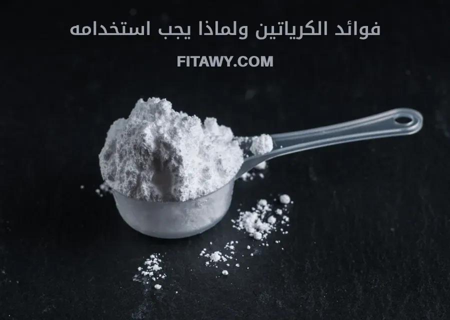 فوائد الكرياتين ولماذا يجب استخدامه